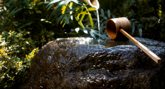 Le hishaku, louche en bambou pour passer l’eau du récipient d’eau fraîche vers la bouilloire, avec son nodule fushi, si important dans le maniement de la louche dans un jardin qu'on dirait éternel